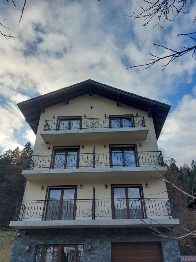 Fulg De Nea Hotel Sinaia Ngoại thất bức ảnh