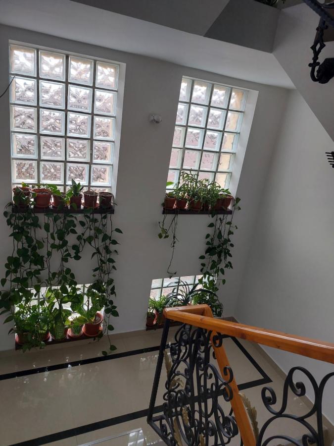 Fulg De Nea Hotel Sinaia Ngoại thất bức ảnh